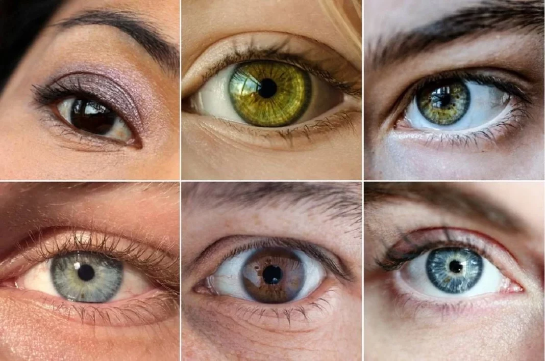 El color de ojos más común: Marrón