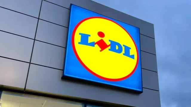 Esta Selección De Abrigos Acolchados De Lidl Por Menos De 20 Euros Es Mejor Que La De Primark