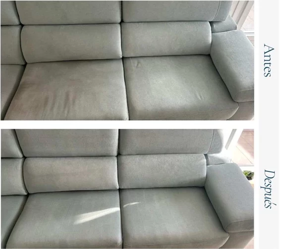 Limpieza Sofa