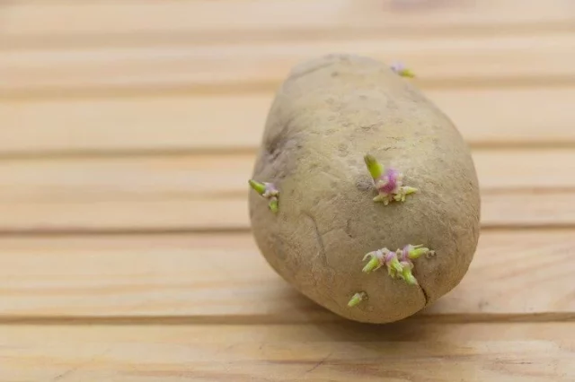 El Truco Infalible Para Que No Salgan Brotes En Tus Patatas