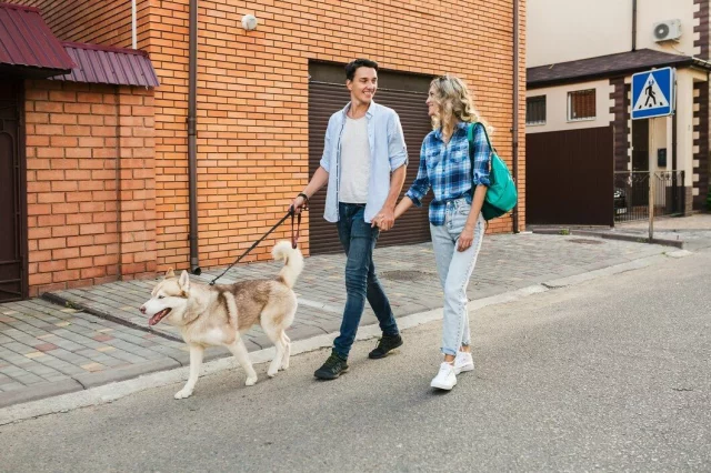 Niño Becerra Agita De Nuevo El Debate Sobre Los Perros En Las Ciudades