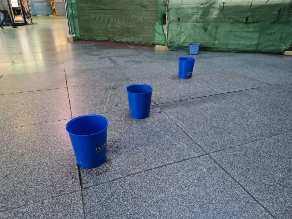 Goteras En La Estación De Atocha De Madrid, Cerca De Las Tortugas