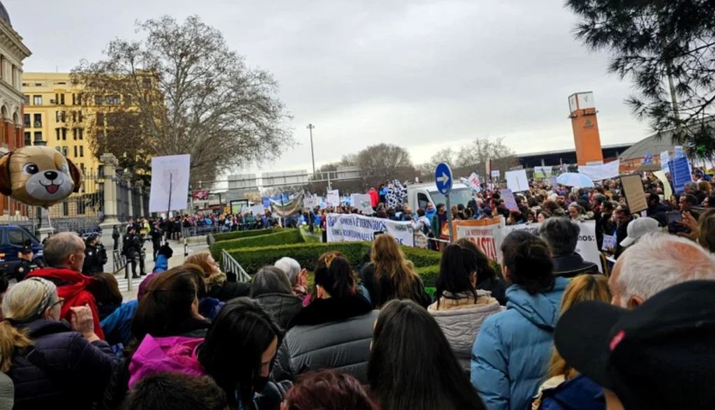 Protestas Por La Ley Animal Que Afecta A Los Veterinarios